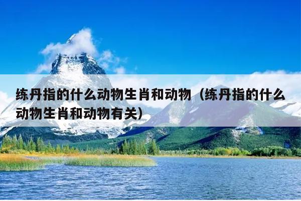 练丹指的什么动物生肖和动物（练丹指的什么动物生肖和动物有关）