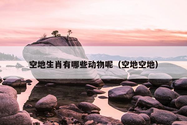 空地生肖有哪些动物呢（空地空地）