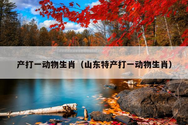 产打一动物生肖（山东特产打一动物生肖）