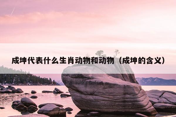 成坤代表什么生肖动物和动物（成坤的含义）