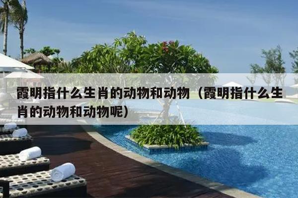 霞明指什么生肖的动物和动物（霞明指什么生肖的动物和动物呢）