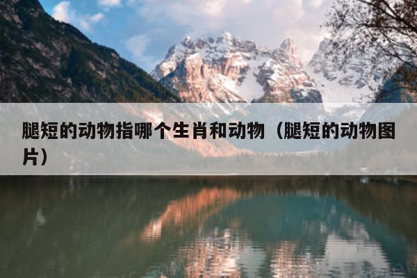 腿短的动物指哪个生肖和动物（腿短的动物图片）