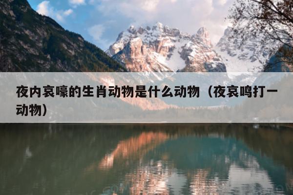 夜内哀嚎的生肖动物是什么动物（夜哀鸣打一动物）