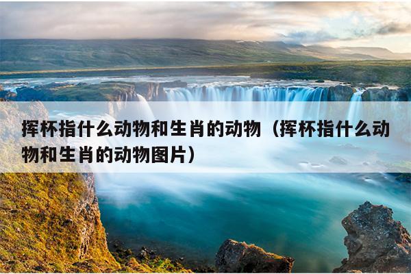 挥杯指什么动物和生肖的动物（挥杯指什么动物和生肖的动物图片）