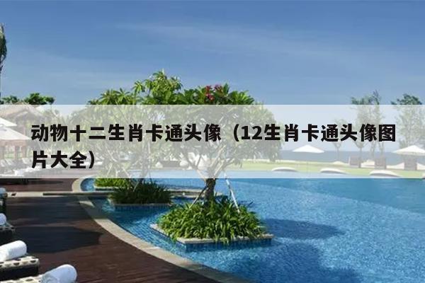 动物十二生肖卡通头像（12生肖卡通头像图片大全）