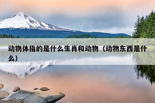 动物体指的是什么生肖和动物（动物东西是什么）