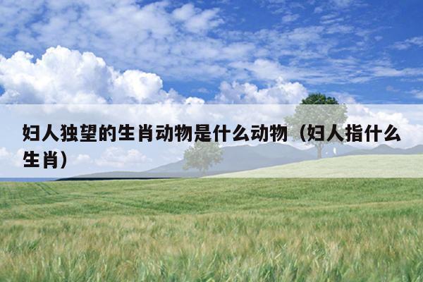妇人独望的生肖动物是什么动物（妇人指什么生肖）