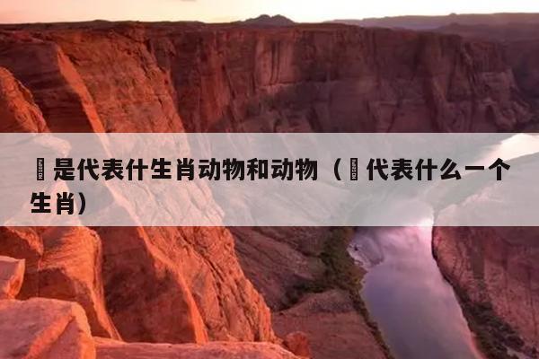 饀是代表什生肖动物和动物（杻代表什么一个生肖）