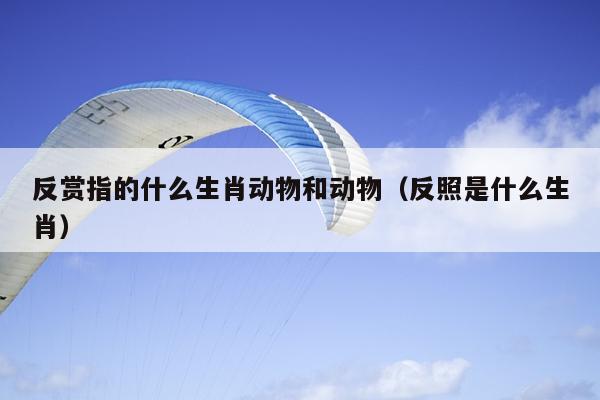 反赏指的什么生肖动物和动物（反照是什么生肖）