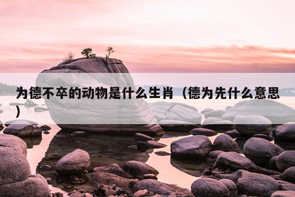 为德不卒的动物是什么生肖（德为先什么意思）