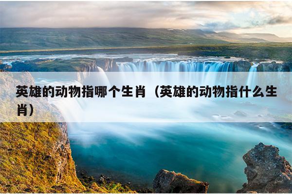 英雄的动物指哪个生肖（英雄的动物指什么生肖）