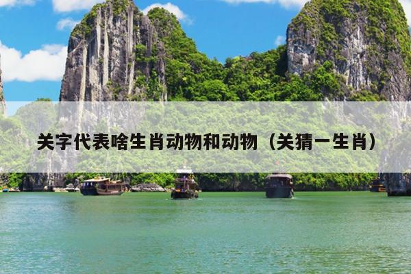 关字代表啥生肖动物和动物（关猜一生肖）