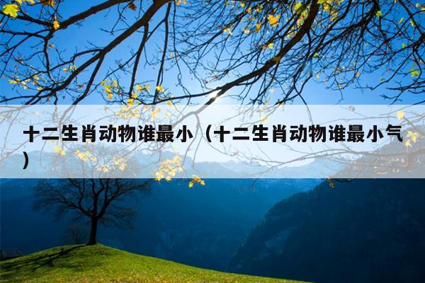 十二生肖动物谁最小（十二生肖动物谁最小气）