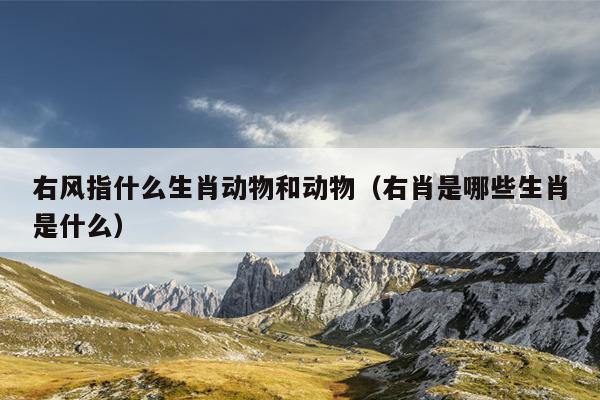右风指什么生肖动物和动物（右肖是哪些生肖是什么）