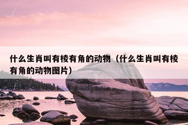 什么生肖叫有棱有角的动物（什么生肖叫有棱有角的动物图片）