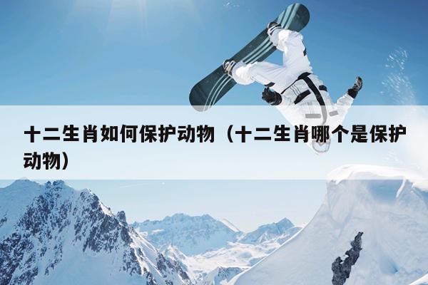 十二生肖如何保护动物（十二生肖哪个是保护动物）