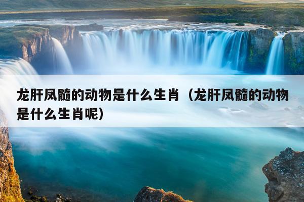 龙肝凤髓的动物是什么生肖（龙肝凤髓的动物是什么生肖呢）