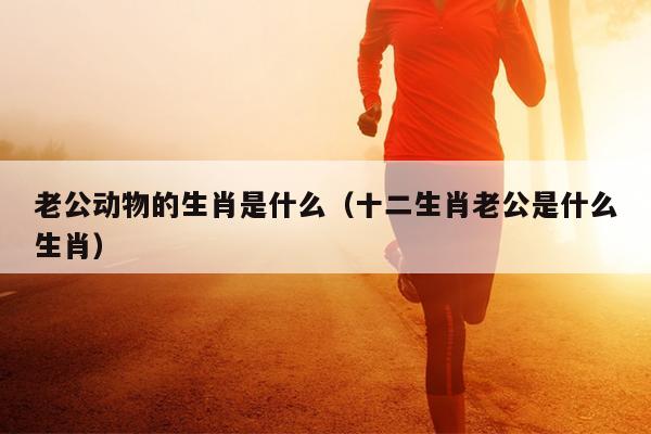 老公动物的生肖是什么（十二生肖老公是什么生肖）