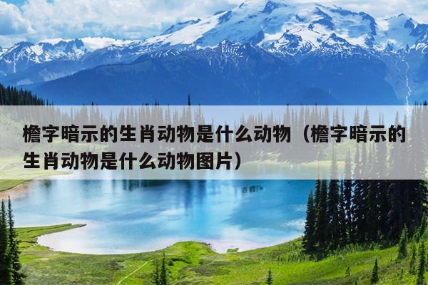 檐字暗示的生肖动物是什么动物（檐字暗示的生肖动物是什么动物图片）