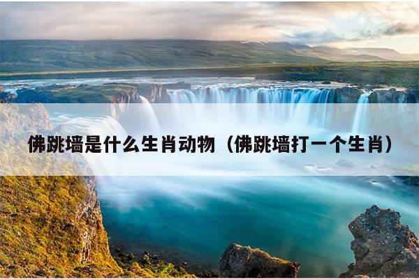 佛跳墙是什么生肖动物（佛跳墙打一个生肖）