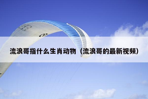流浪哥指什么生肖动物（流浪哥的最新视频）
