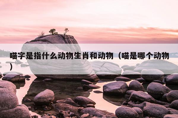 喵字是指什么动物生肖和动物（喵是哪个动物）