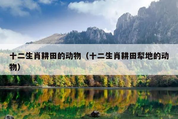 十二生肖耕田的动物（十二生肖耕田犁地的动物）