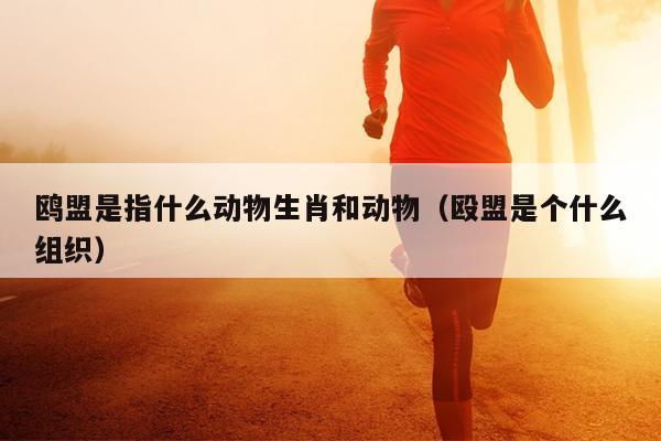 鸥盟是指什么动物生肖和动物（殴盟是个什么组织）