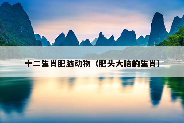 十二生肖肥脑动物（肥头大脑的生肖）