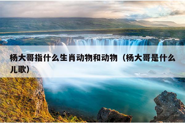杨大哥指什么生肖动物和动物（杨大哥是什么儿歌）