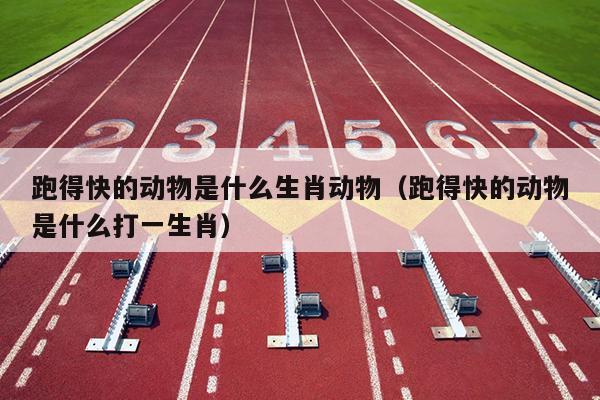 跑得快的动物是什么生肖动物（跑得快的动物是什么打一生肖）