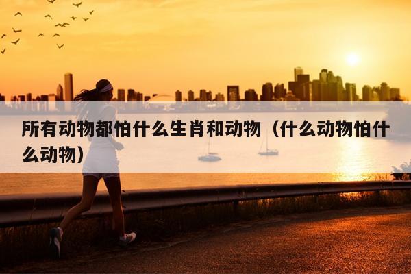 所有动物都怕什么生肖和动物（什么动物怕什么动物）