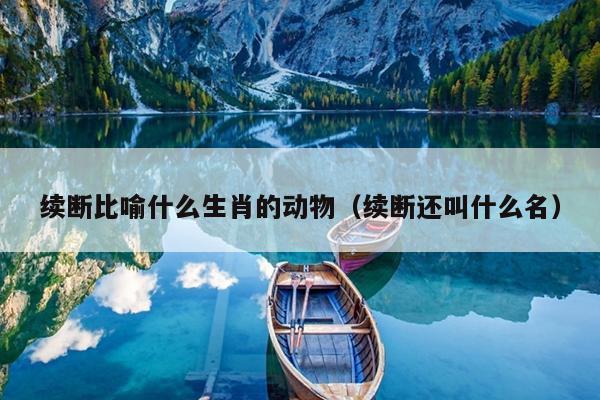 续断比喻什么生肖的动物（续断还叫什么名）