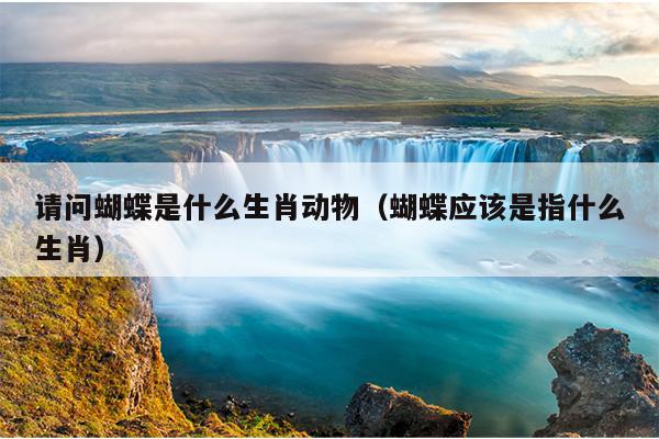 请问蝴蝶是什么生肖动物（蝴蝶应该是指什么生肖）