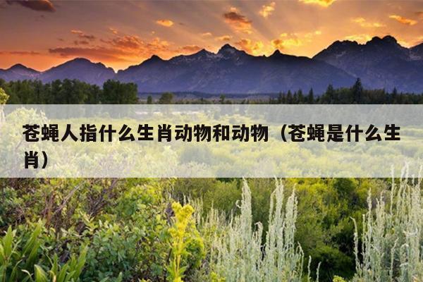 苍蝇人指什么生肖动物和动物（苍蝇是什么生肖）