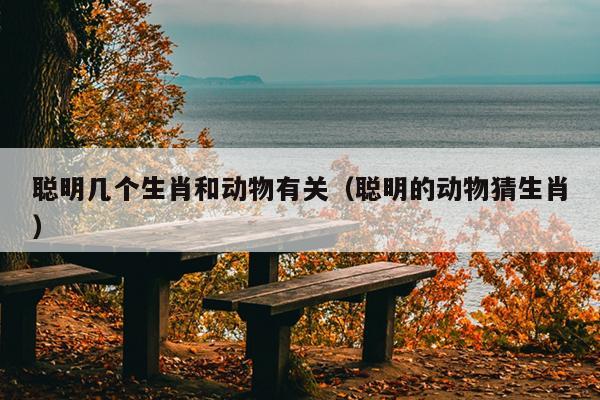 聪明几个生肖和动物有关（聪明的动物猜生肖）