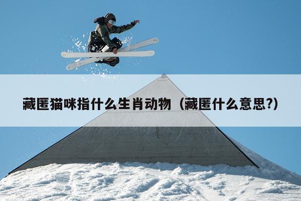 藏匿猫咪指什么生肖动物（藏匿什么意思?）