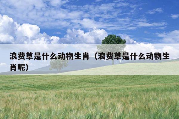 浪费草是什么动物生肖（浪费草是什么动物生肖呢）