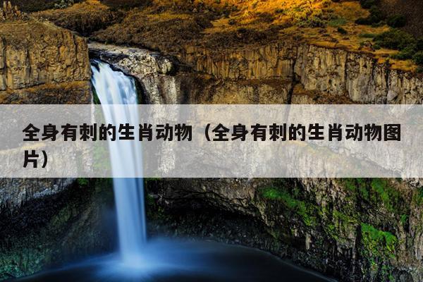 全身有刺的生肖动物（全身有刺的生肖动物图片）