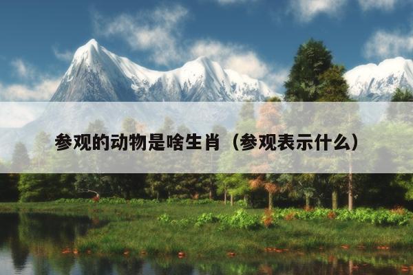 参观的动物是啥生肖（参观表示什么）