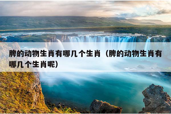 脾的动物生肖有哪几个生肖（脾的动物生肖有哪几个生肖呢）