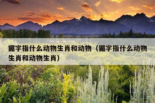 猸字指什么动物生肖和动物（猸字指什么动物生肖和动物生肖）
