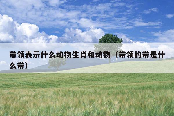 带领表示什么动物生肖和动物（带领的带是什么带）