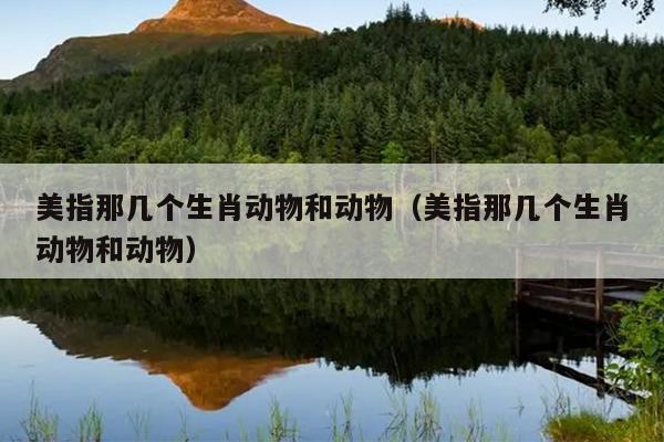 美指那几个生肖动物和动物（美指那几个生肖动物和动物）