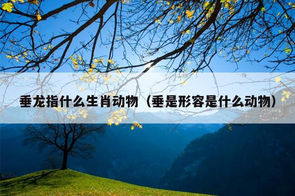 垂龙指什么生肖动物（垂是形容是什么动物）