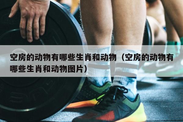 空房的动物有哪些生肖和动物（空房的动物有哪些生肖和动物图片）
