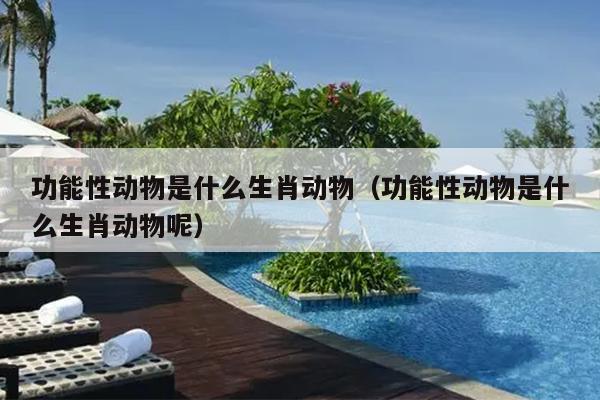 功能性动物是什么生肖动物（功能性动物是什么生肖动物呢）