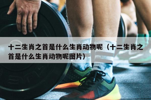 十二生肖之首是什么生肖动物呢（十二生肖之首是什么生肖动物呢图片）