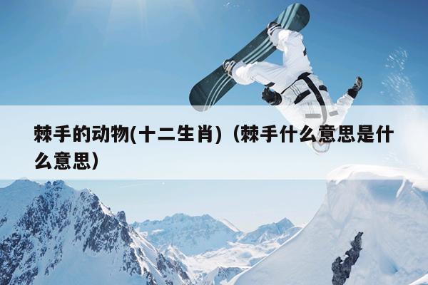 棘手的动物(十二生肖)（棘手什么意思是什么意思）