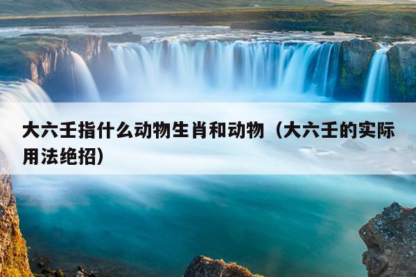 大六壬指什么动物生肖和动物（大六壬的实际用法绝招）